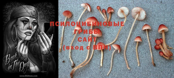 не бодяженный Кукмор